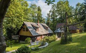 Pocitniska Hisa Koca Dobnik