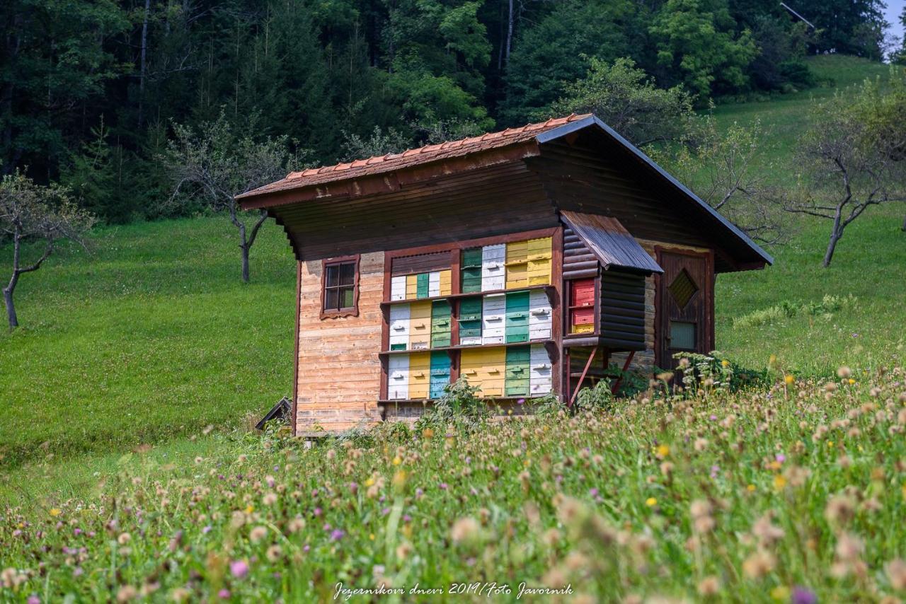 Villa Pocitniska Hisa Koca Dobnik Lovrenc na Pohorju Exterior foto