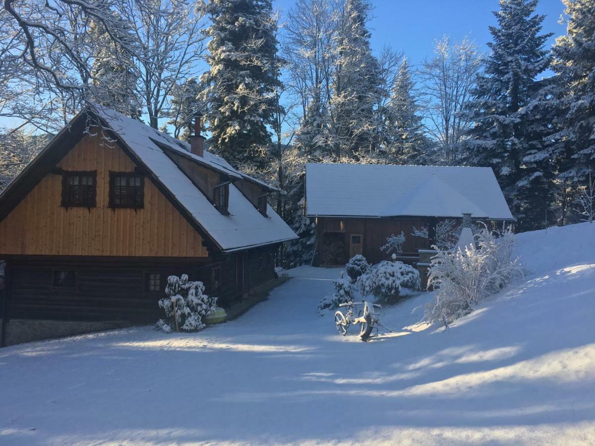 Villa Pocitniska Hisa Koca Dobnik Lovrenc na Pohorju Exterior foto