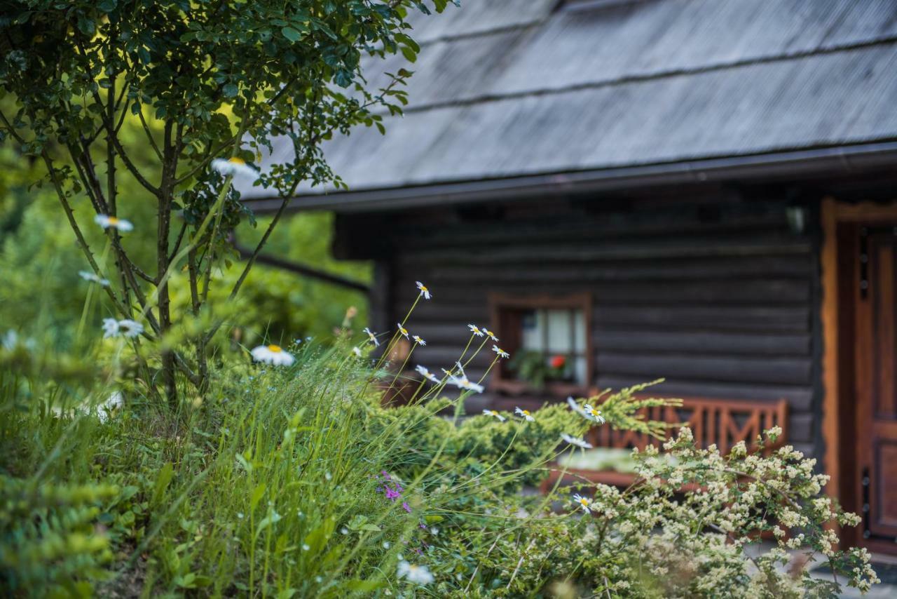 Villa Pocitniska Hisa Koca Dobnik Lovrenc na Pohorju Exterior foto