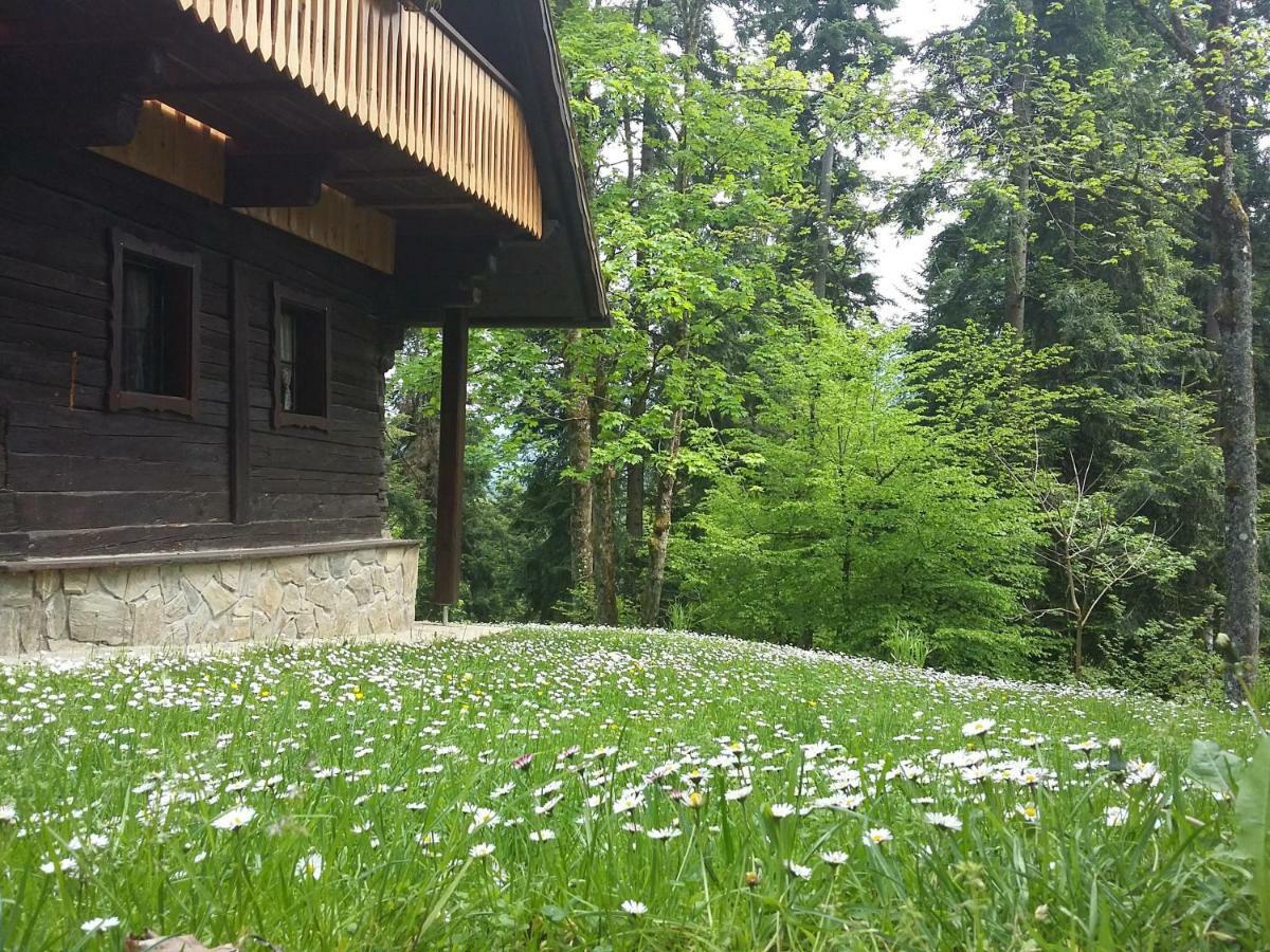 Villa Pocitniska Hisa Koca Dobnik Lovrenc na Pohorju Exterior foto